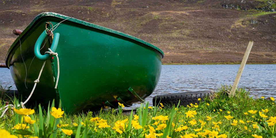 Boat on the loch shore