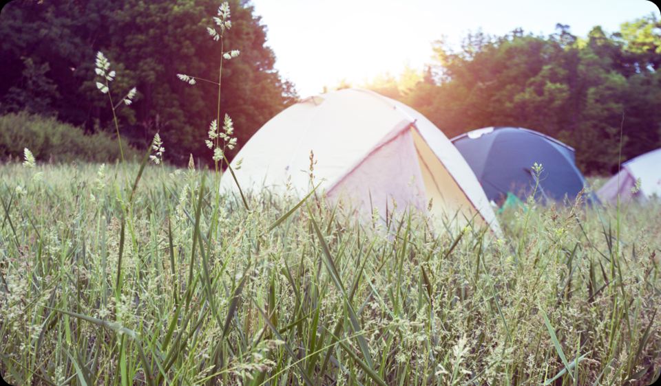 Tents on the field