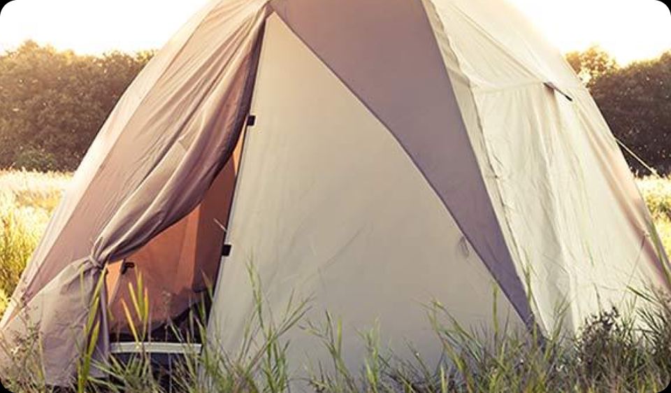 Tent in the long grass