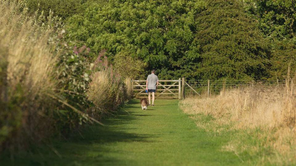 Dog walk path on site