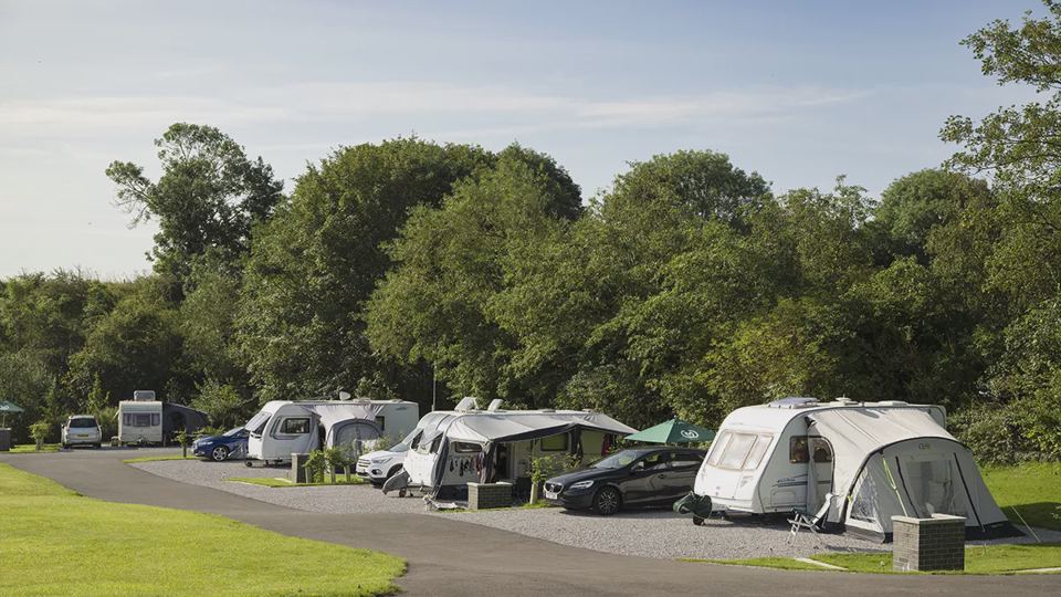 Hardstanding pitches under trees