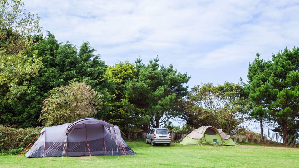 Tents on the grass