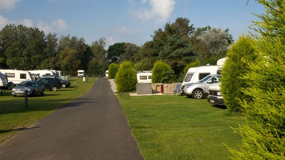 Pitch avenue between hedges