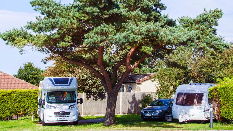 Motorhome and caravan under a pine