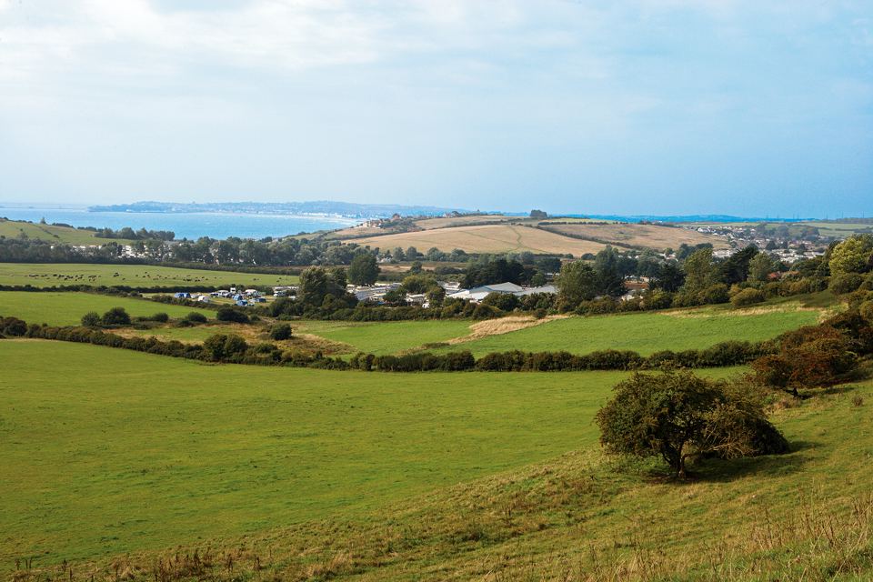 Fields and bay from the park