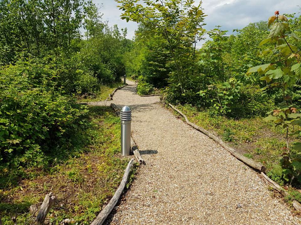 Gravel path through the woods