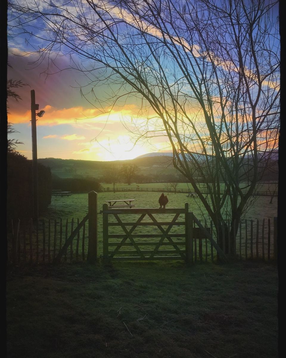 Sunset over the gate