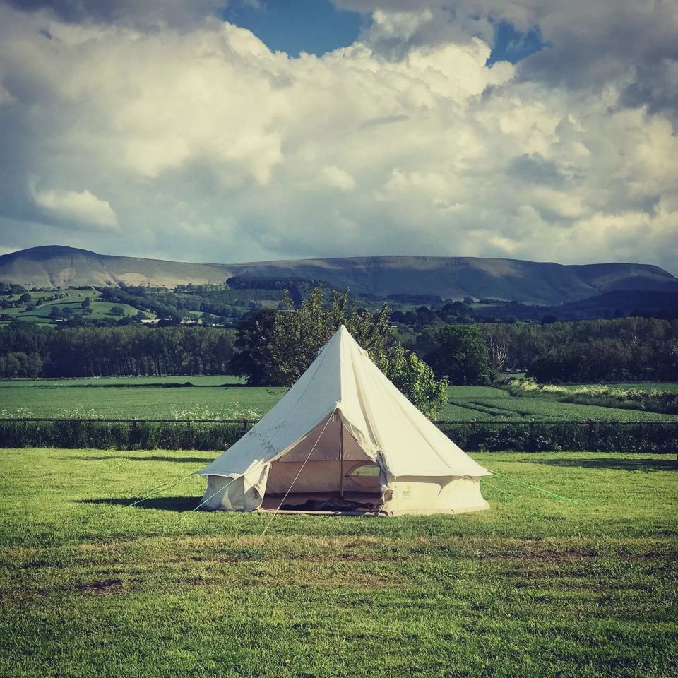 Bell tent in the field