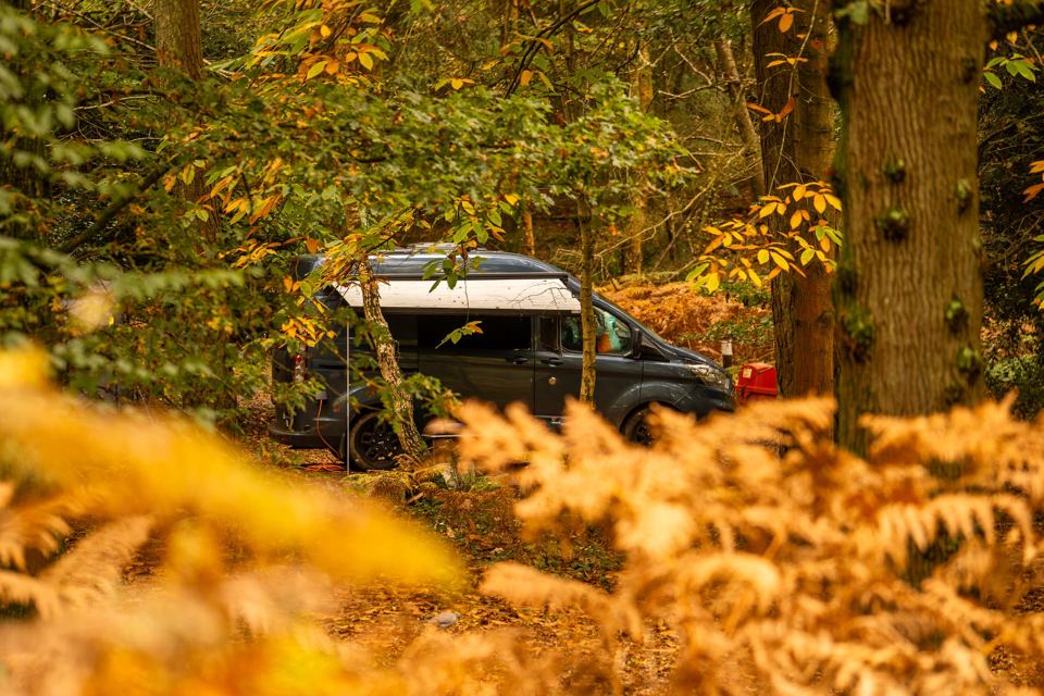 Campervan in autumn woodland