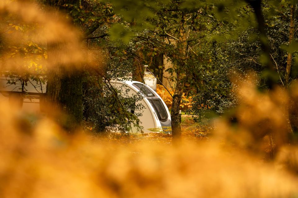 Caravan through the ferns