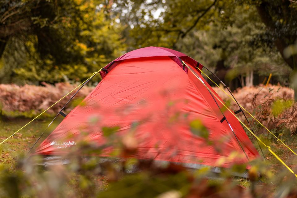 Dome tent in the bracken