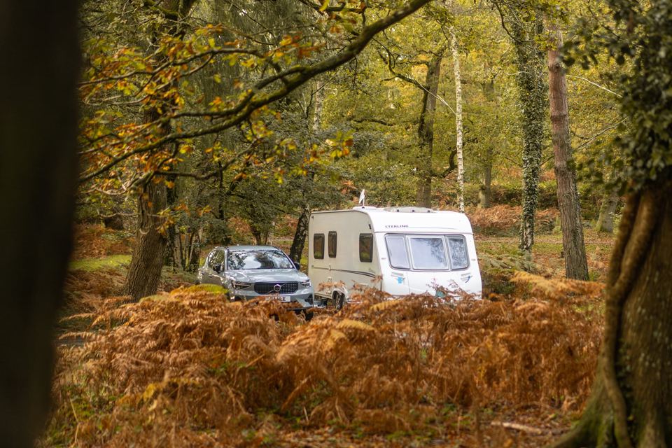 Caravan among autumn bracken