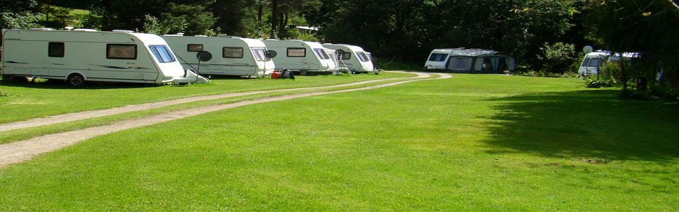 Caravans on level grass