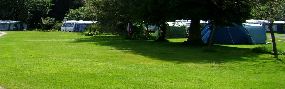 Tents under the trees
