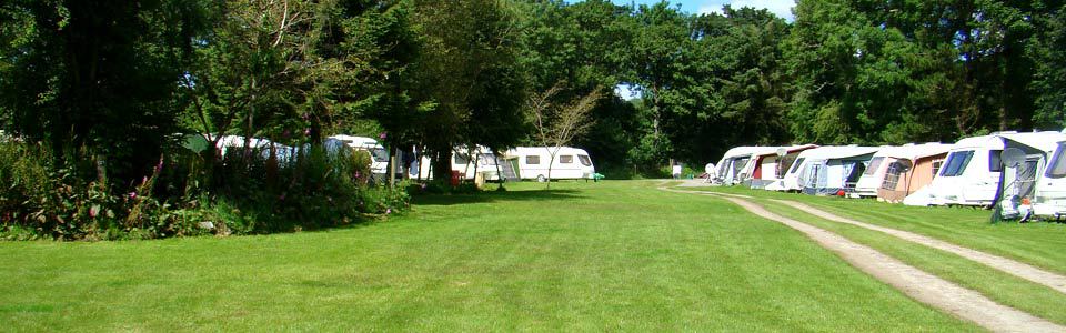 Touring pitches by the trees