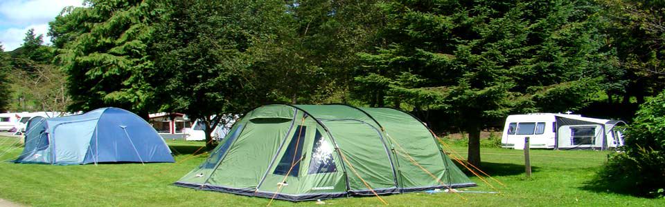 Tents and tourers on grass