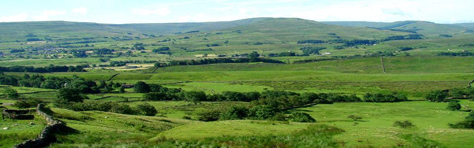 Dales view from the site