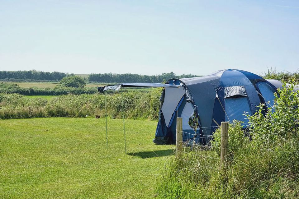 Blue tent by the fence