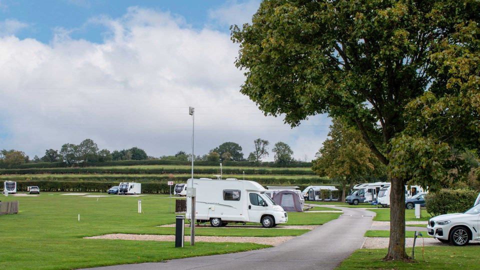 Pitches along the site road