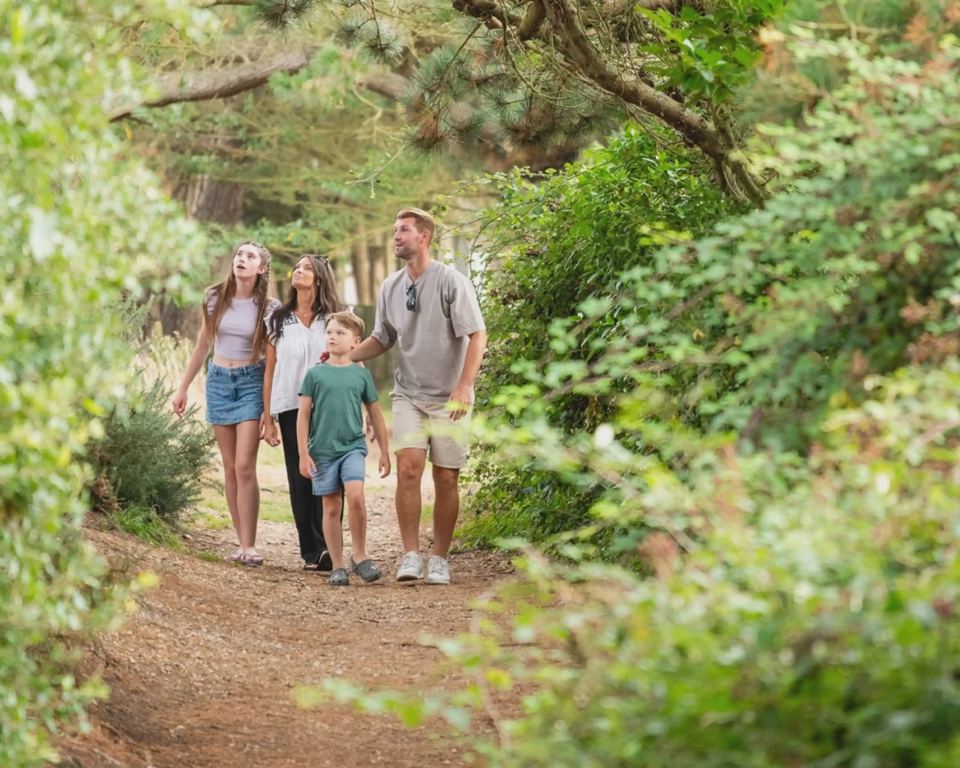 Woodland path