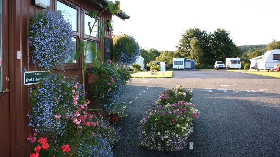 Reception with flower tubs