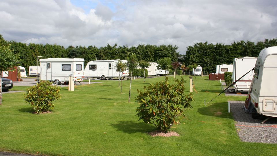 Grass and pitches across the site
