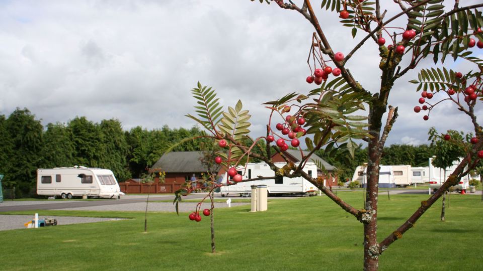 Caravans on the grass