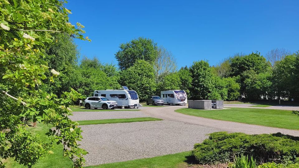 Gravel pitches among trees