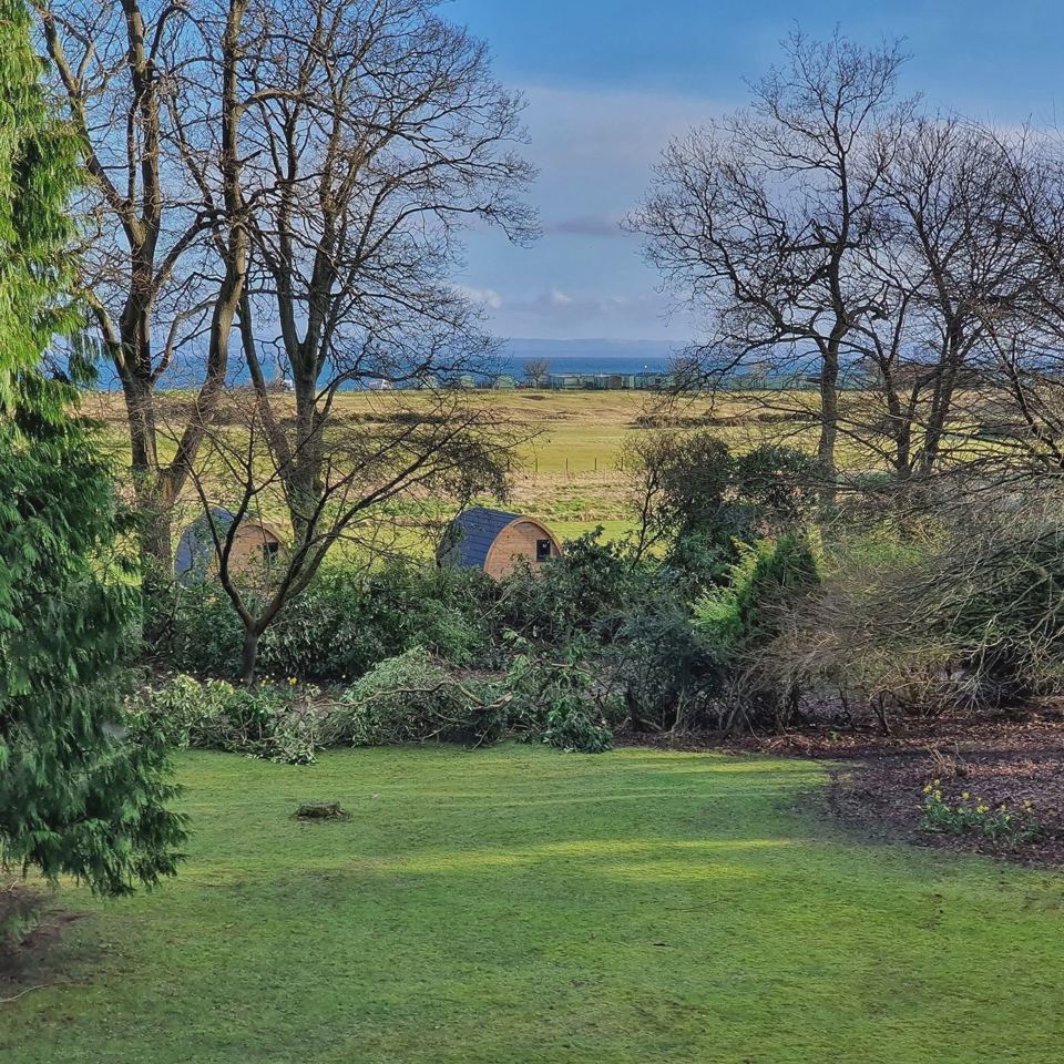 Lawn with sea beyond the trees
