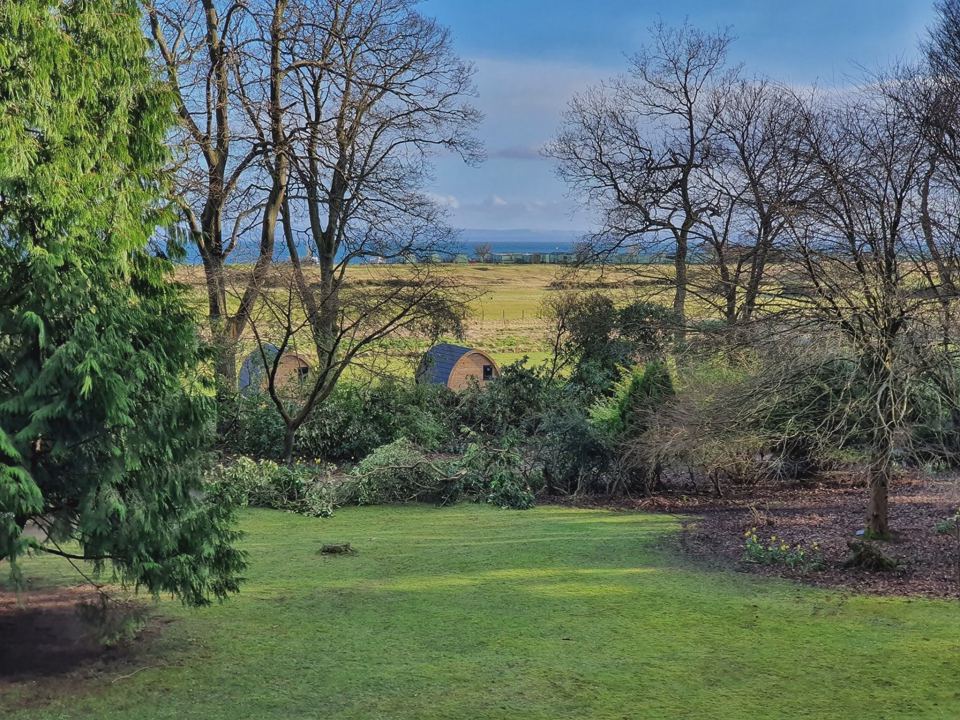 Grassy site looking to the Firth