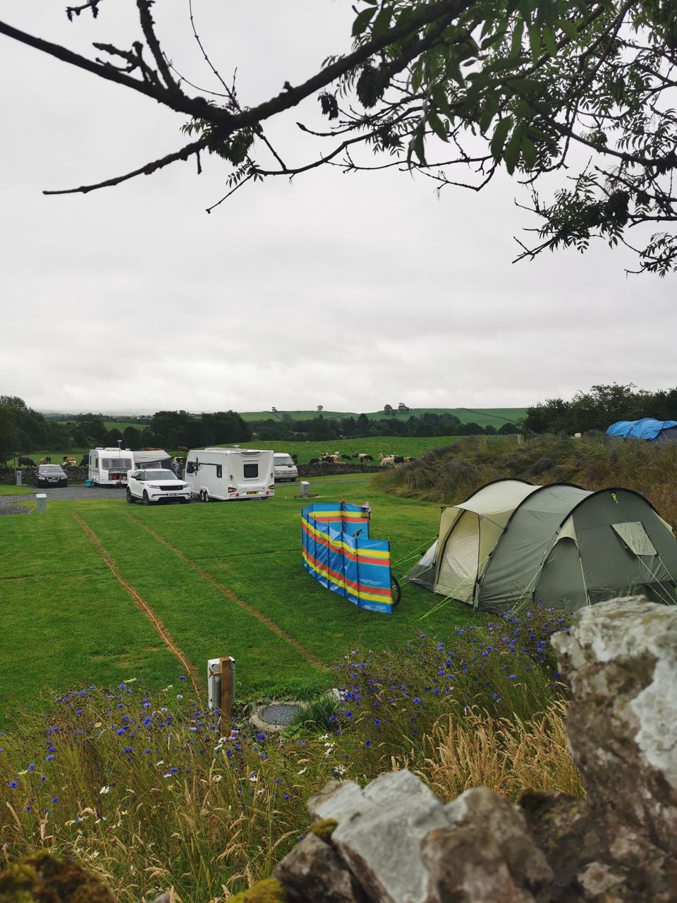 Tents and caravans in the meadow