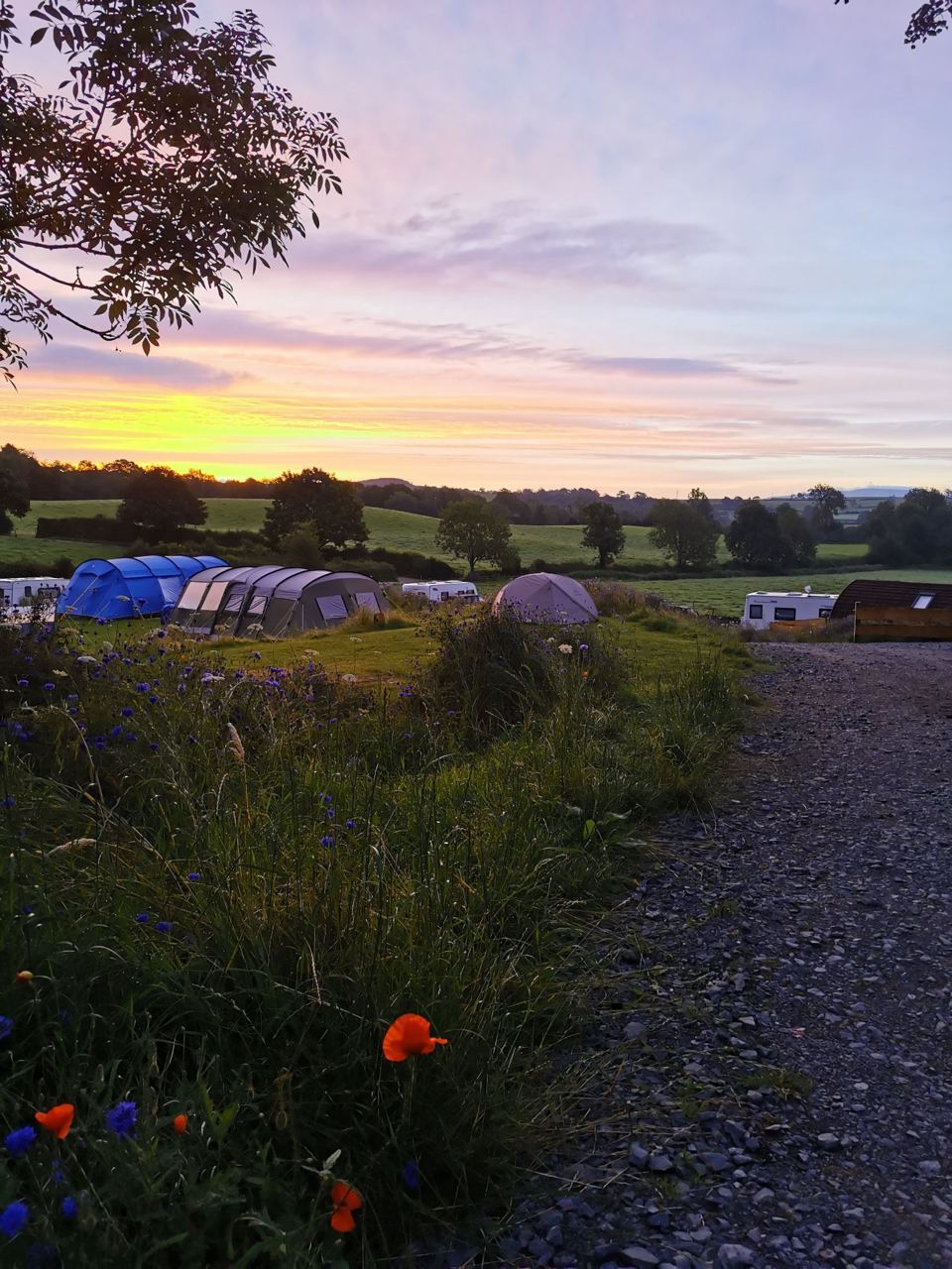 Tents at sunset along the track
