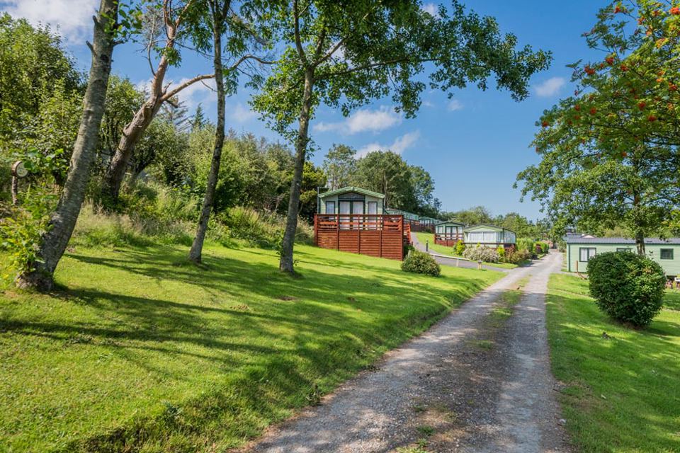 Caravans along the tree-lined lane