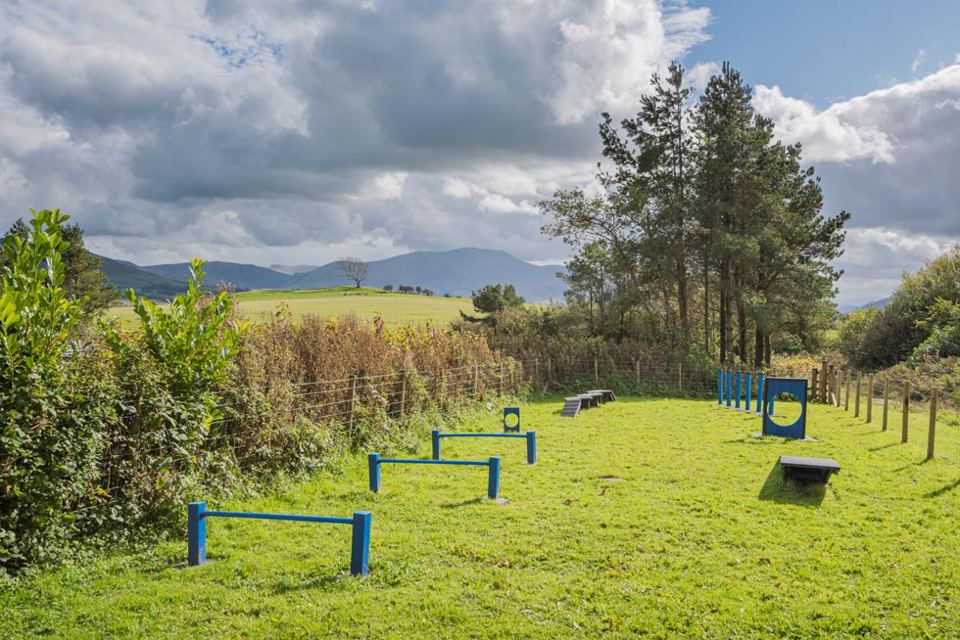 Dog play area with hills beyond