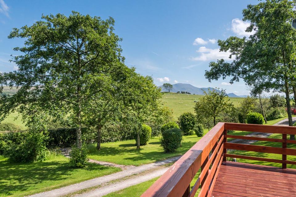 Lawn and trees beside the decking