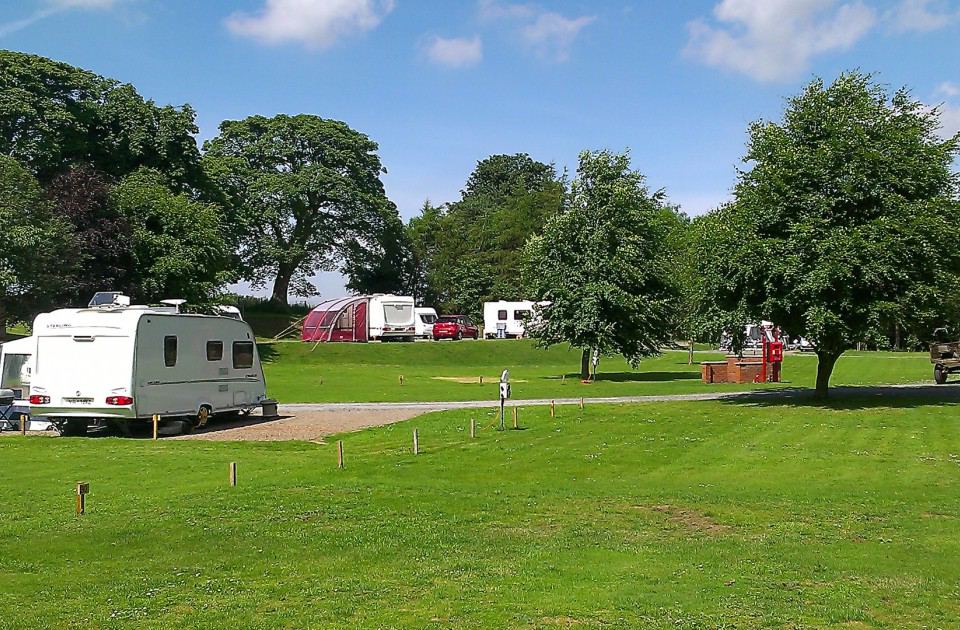Grass pitches under the trees