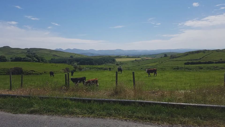 Hill views from the lane
