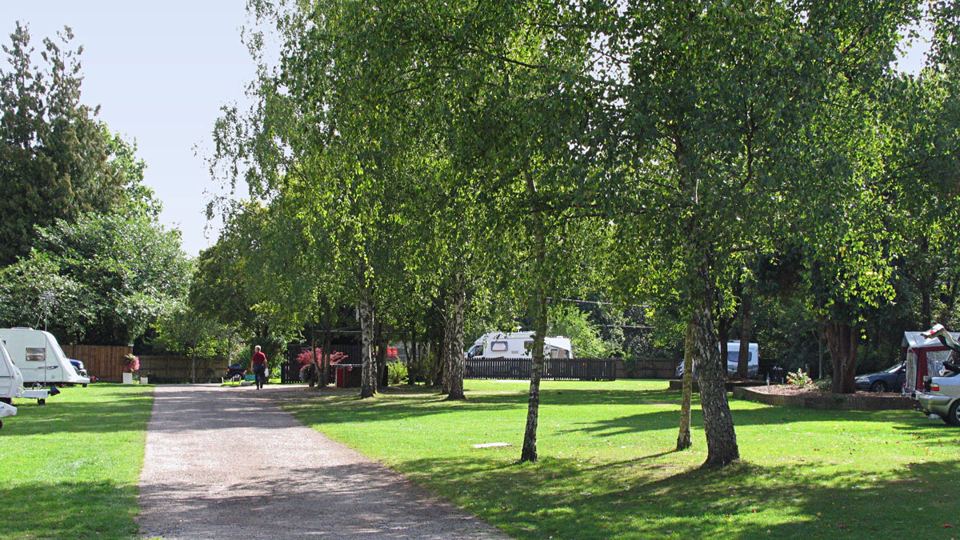 Path through the site