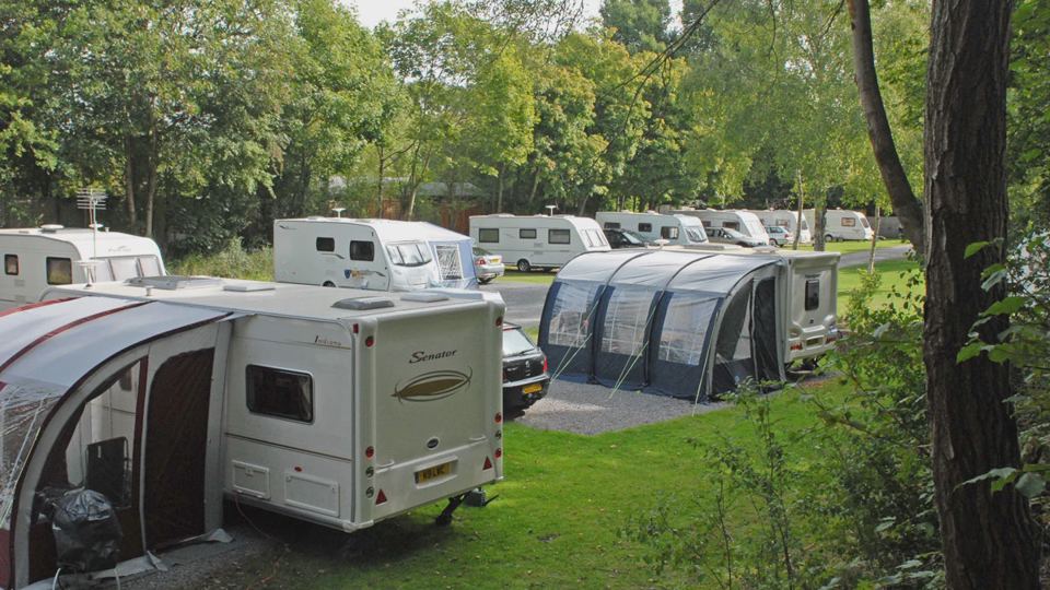 Caravans among the trees