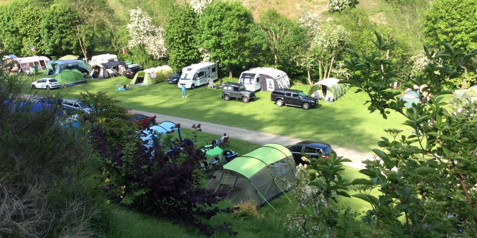 Tents and vans on the lawn