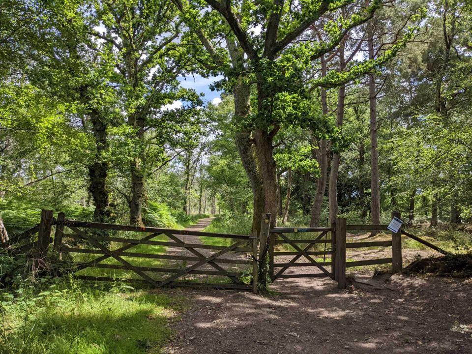 Forest track gate