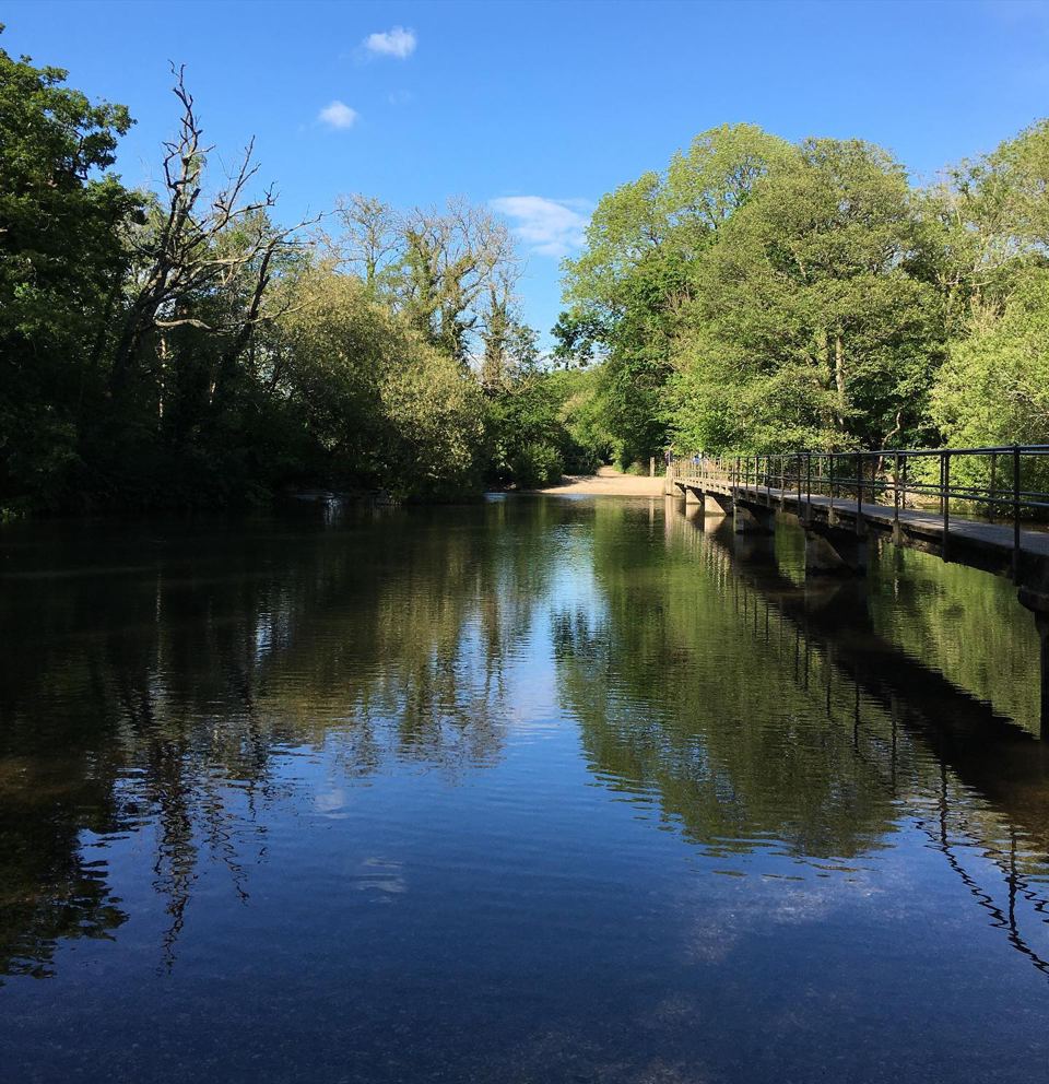 River beside the farm