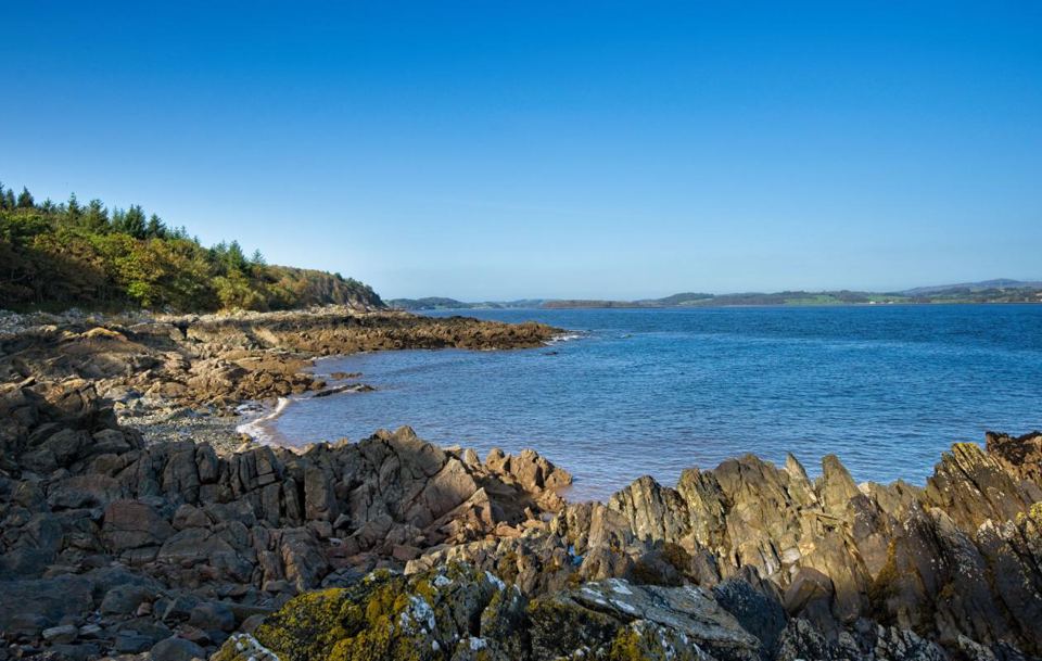 Rocky shore near the site