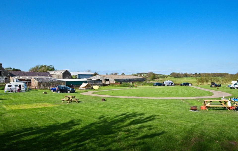 Pitches with picnic benches