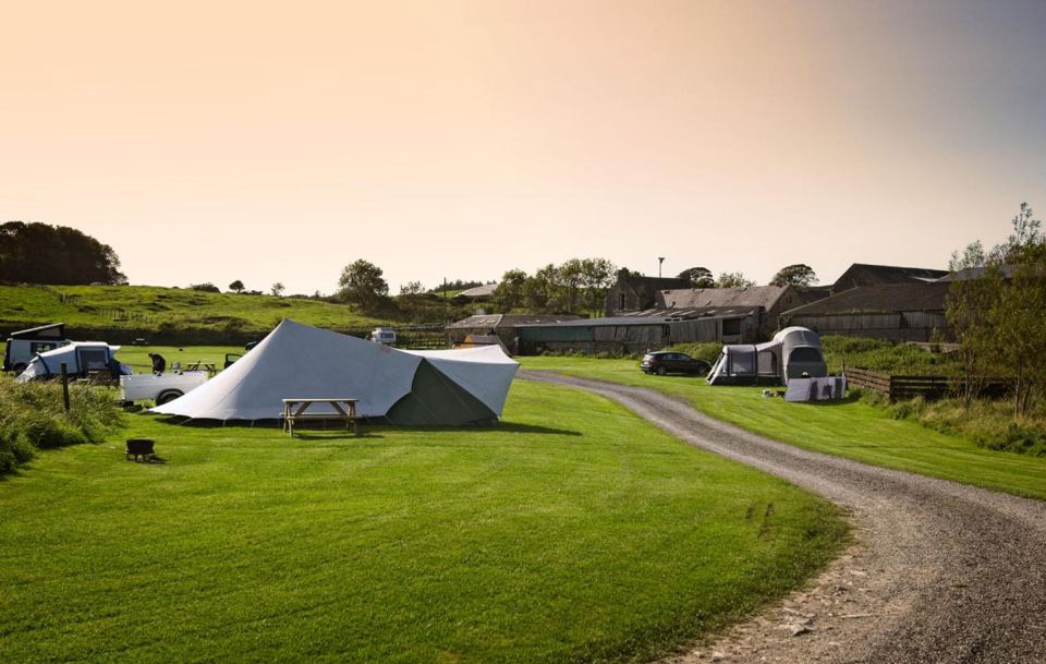 Tent pitch and farm