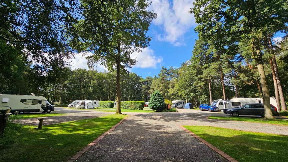 Pitches along a tree-lined path