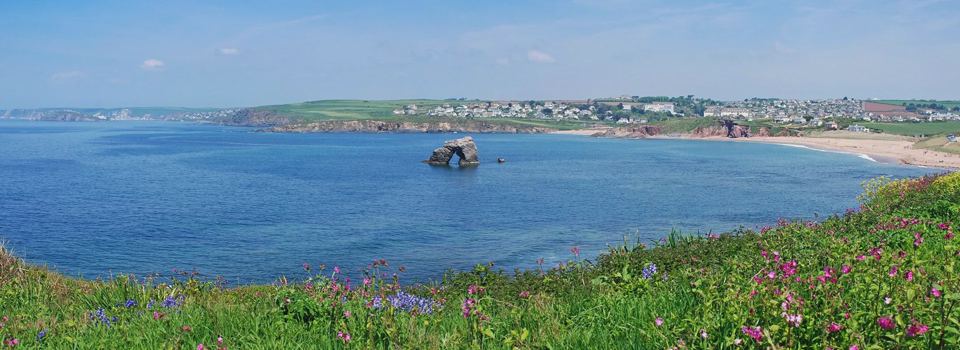 Bay and headland from the clifftop