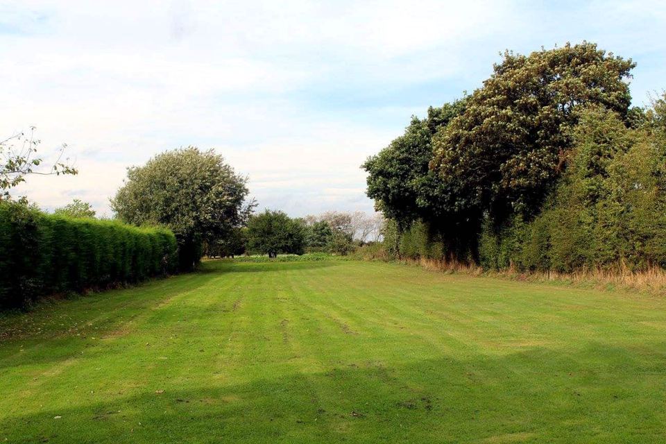 Open grass beside the hedge