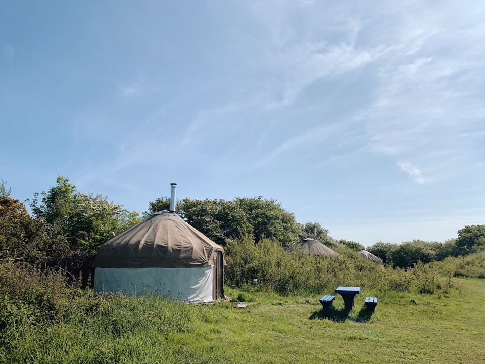 Yurt and picnic table in the field