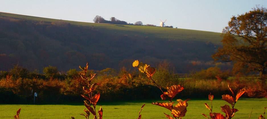 Downs above the field